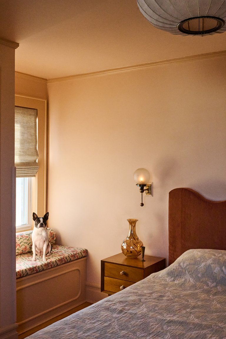 dog on window seat in peach bedroom